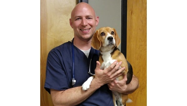 Dr. Hodges loves working with Hoover animals and their owners.