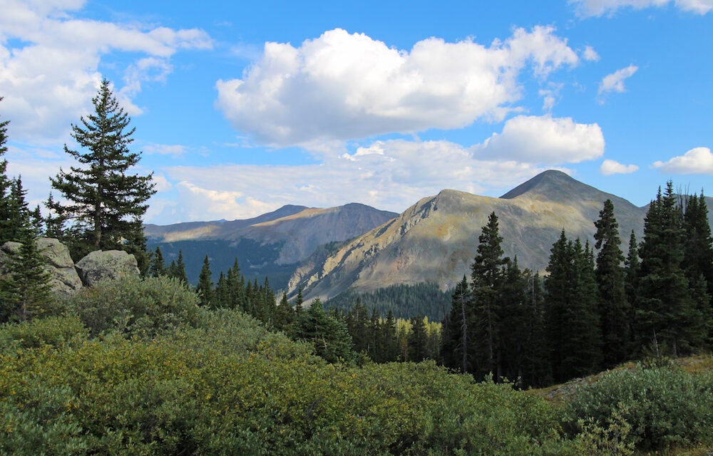 High on Buena Vista