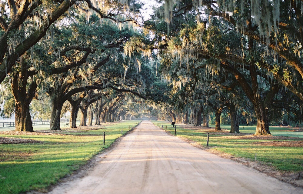 Charming Charleston