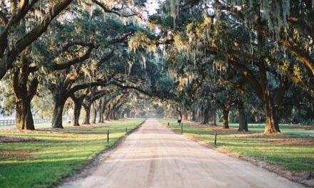 Low Country Love: Charleston